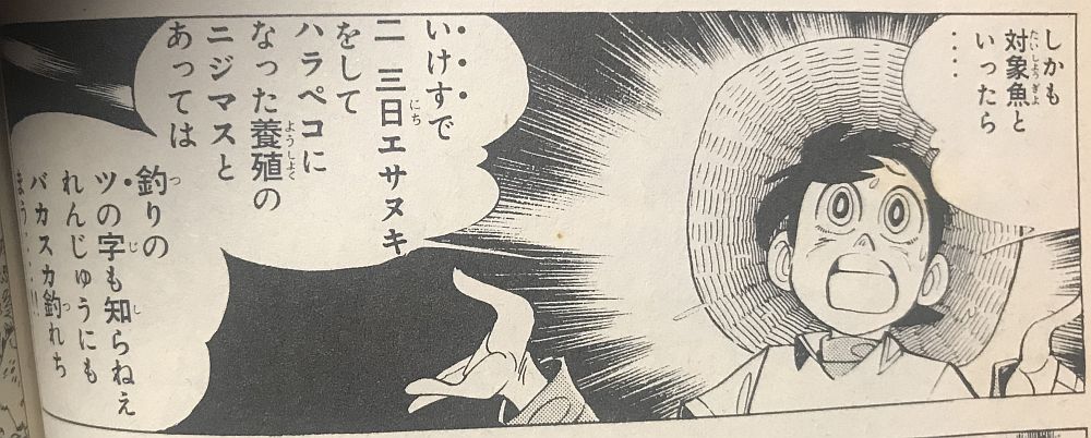 梅田湖釣行記 ー放流ニジマスの攻略方法 梅田湖編ー Kiryu City Life 群馬県桐生市移住ブログ